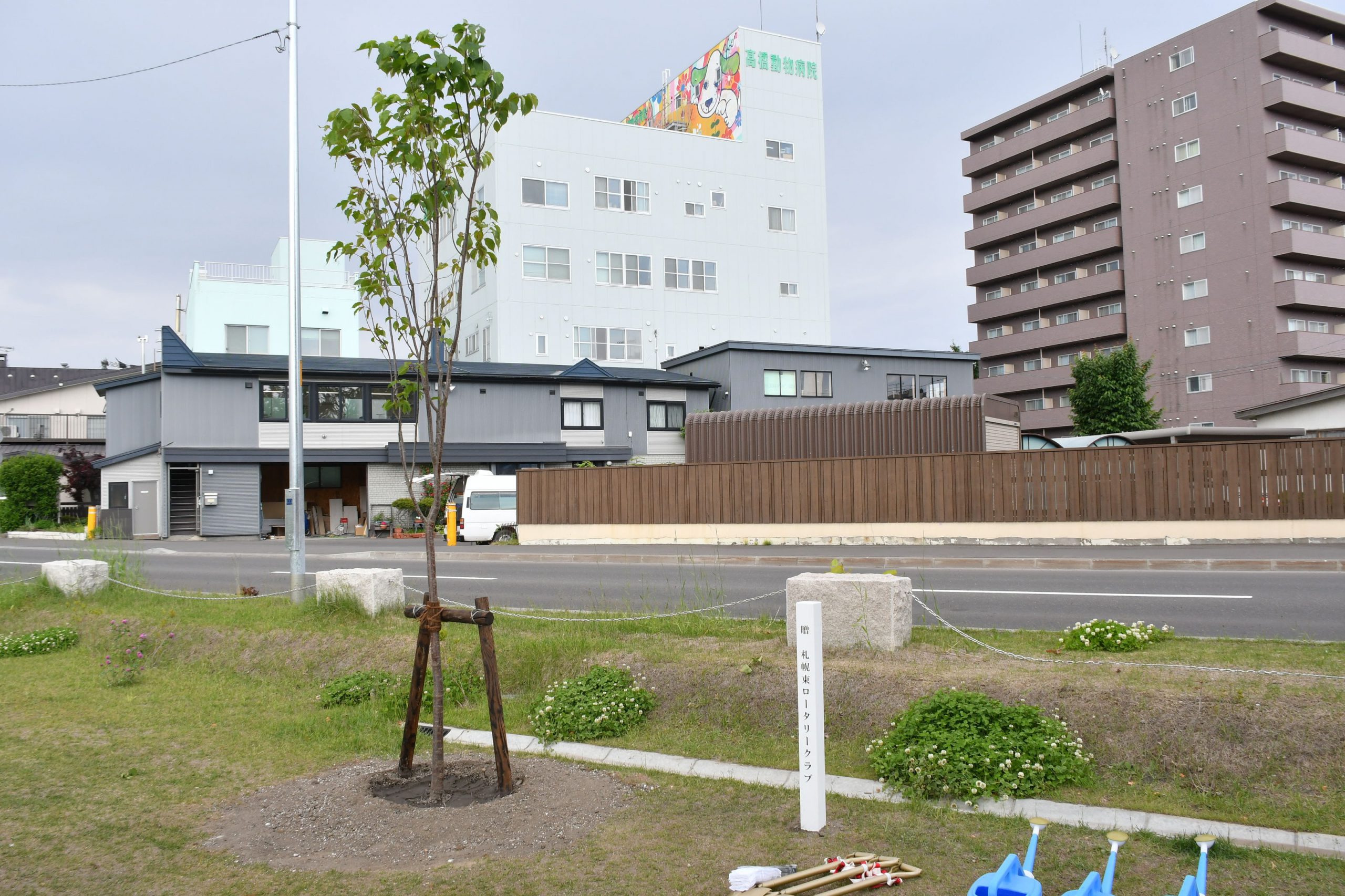 河岸公園にエゾヤマザクラを植樹（社会奉仕）